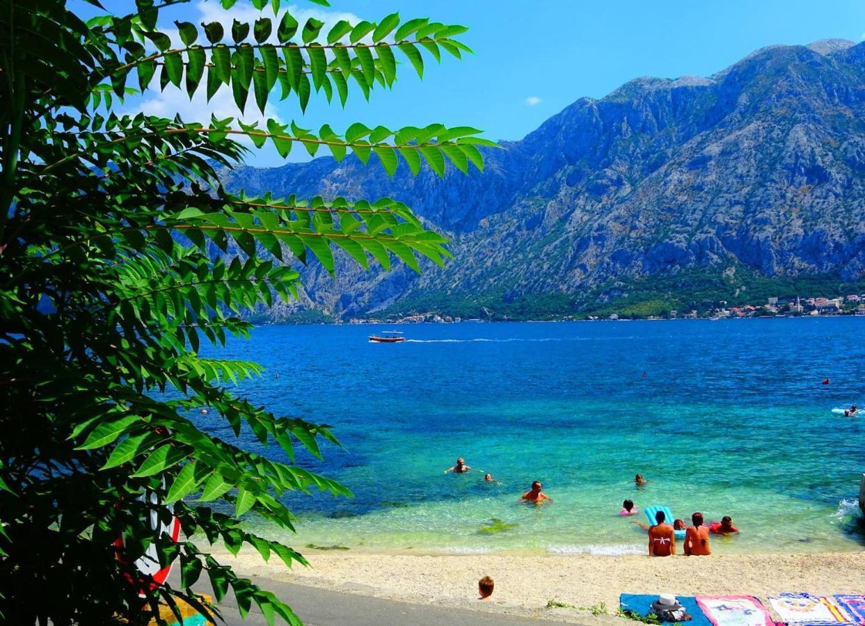 Prčanj Bay Of Kotor View Apartment With Pool מראה חיצוני תמונה